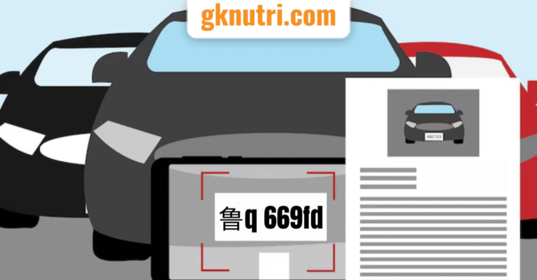 鲁Q 669 Meaning: China’s Vehicle Code Mystery